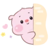Lindo cerdito 7