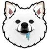 Bear 5