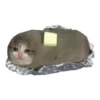 cats 7