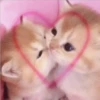 Cutiest Kawaii 1 11