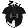 Zzz