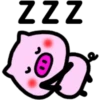 Daily pig 9