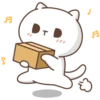 Gatito 5
