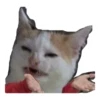 cats 9