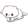 Gatito 8