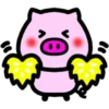 Daily pig 12