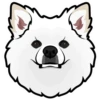 Bear 7