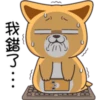 我錯了…
CO