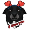 I love you