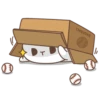 Gatito 10