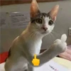 で下さい。