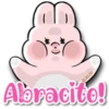 Pinky Pink   C☆ 12
