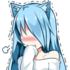 (
13