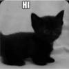 HI
