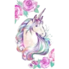 Unicorn 2  Clásica 13