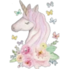 Unicorn 2  Clásica 15