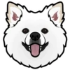 Bear 10