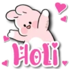 Pinky Pink   C☆ 17