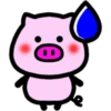 Daily pig 18