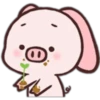 Fly Pig-pei pei 2 15