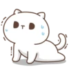 Gatito 17