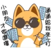 小賤狗我最懂你P.1/2 9