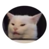 cats 22