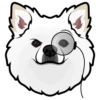 Bear 12