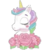 Unicorn 2  Clásica 21