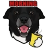 MORNING