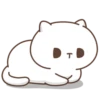 Gatito 19