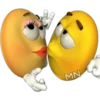 MN