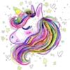 Unicorn 2  Clásica 22