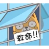 救命!!
