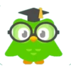 Duolingo stickers 17