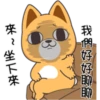 小賤狗我最懂你P.1/2 10