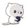 Gatito 24