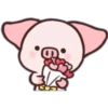 Fly Pig-pei pei 2 21