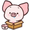 Fly Pig-pei pei 2 22