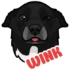 WINK