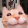:3
