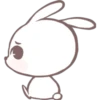 Marshmallow puppy 9 15