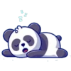P︎A︎N︎D︎I︎T︎A︎S︎ 23