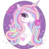 Unicorn 2  Clásica 24