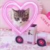 Cutiest Kawaii 1 27