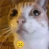 ():