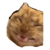 cats 26