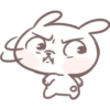 Marshmallow puppy 11 15