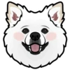 Bear 13