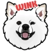 WINK.